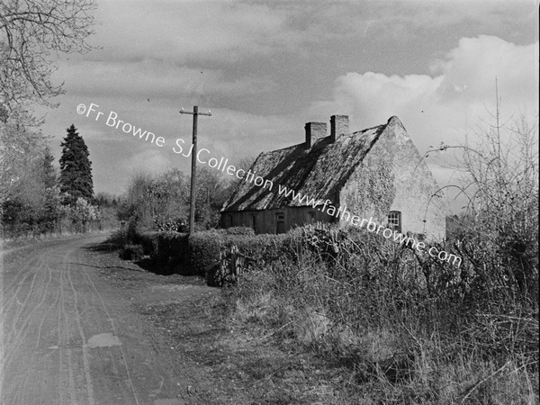 COTTAGE TREES